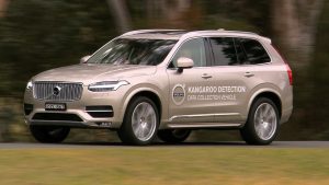 Volvo Cars begins first ever Australian tests for kangaroo safety research